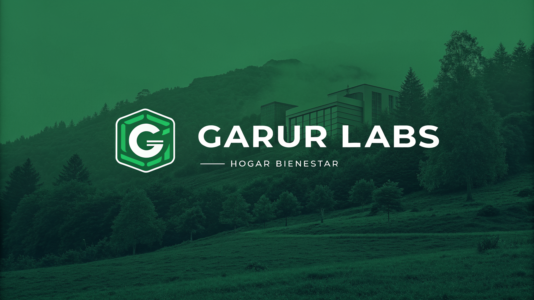 Wordmark Garur Labs